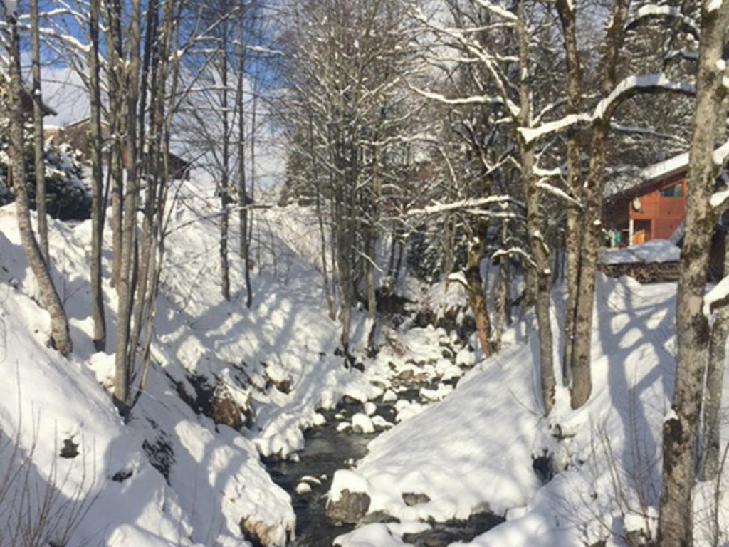 Magnificent Chalet On The Mountain Slopes 레게츠 외부 사진